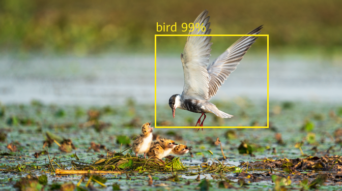 圖像目標(biāo)檢測(cè)